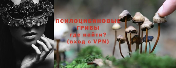 скорость Богородицк