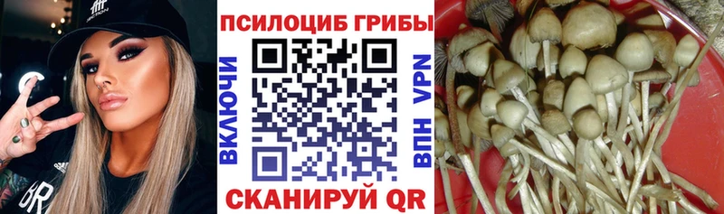 Псилоцибиновые грибы прущие грибы  Купить  Кореновск 